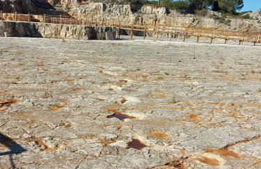 Casa Botanica - Foto 49