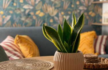 Locazione Turistica a Ostia Antica - Foto 21