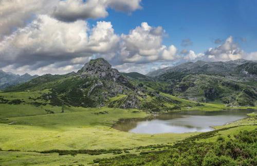 Escuelas de collía A - Foto 22
