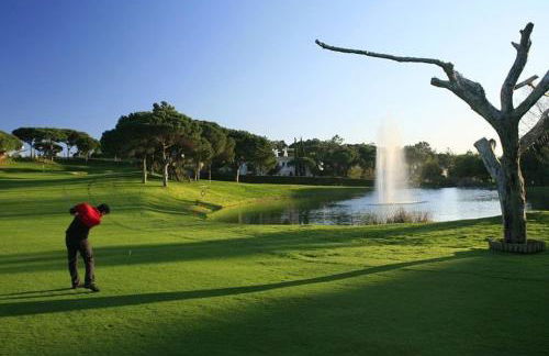 Sunny Lounge Apartment - Photo 18