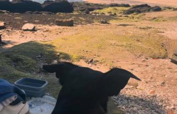 The Rianxeira - Foto 27