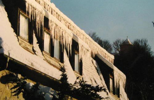 HERRNMÜHLE - Pension & Ferienwohnungen - Foto 50