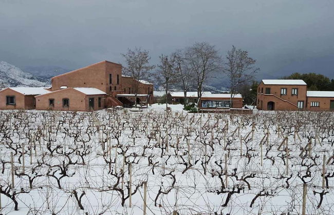 Cavanera Etnea Resort & Wine Experience - Foto 47