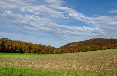 Gästezimmer für 3 Personen - Foto 28