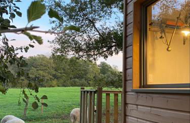 Jolie Tiny House sous les Grands Arbres - Photo 10