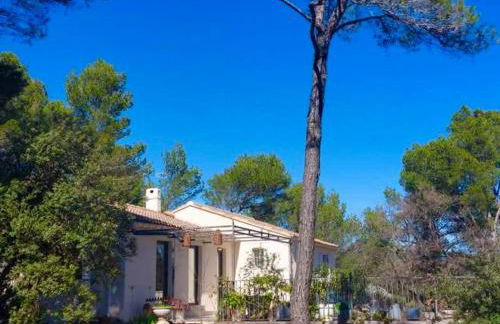 La maison du Barroux avec vue, calme et piscine - Foto 41