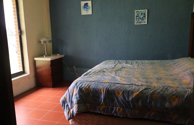 House of Ficus Banderilla,veracruz-mexico - Foto 7