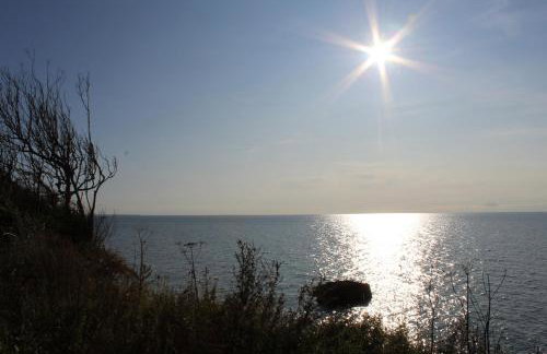 Apartment im ART.Quartier - Foto 8