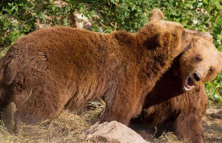 Luxury Apartment Megy - Foto 72