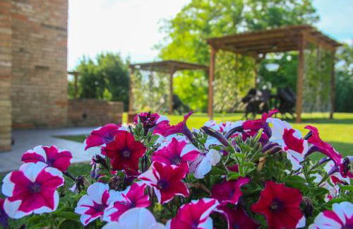 Colle Bertini - Foto 9