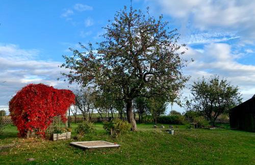 Siedlisko Wiłkupie, Dom na wzgórzu - Foto 39