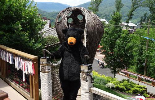 Smoky Bear Splash Top Rated Private Pool Cabin with Hot Tub, Mtn Views, Arcade Games, Excellent Location - Foto 58