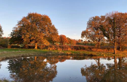 RedWood Lodge - Photo 43