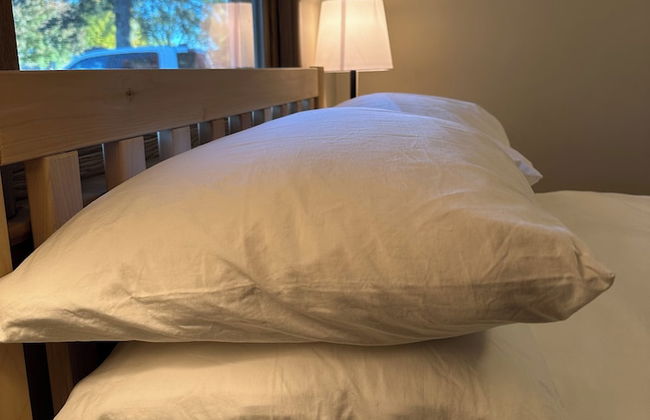 The Badger House - Foto 10