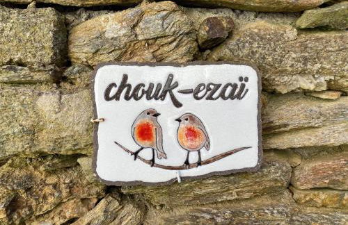 Chouk-Ezaï côte sauvage de l'île - Photo 5