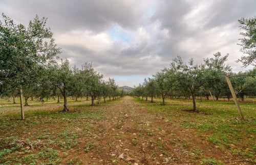 RUSTICO FRA IL VERDE E IL MARE a LIDO VALDERICE - Foto 27