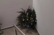 Casa Ferny - Foto 17