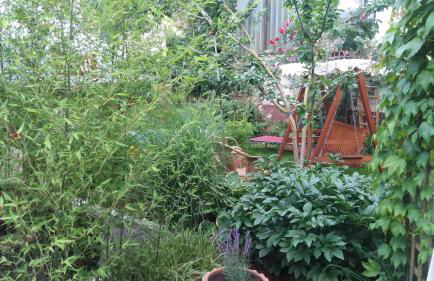 Urlaub mit Charme in der kleinsten Stadt der Pfalz. - Foto 45