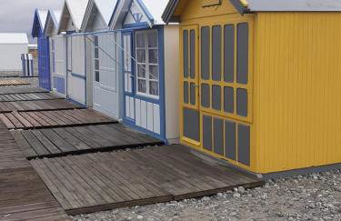 les coquelicots en baie de Somme - Foto 14