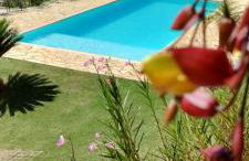 Sitio Oliveira Ibiuna - Foto 4