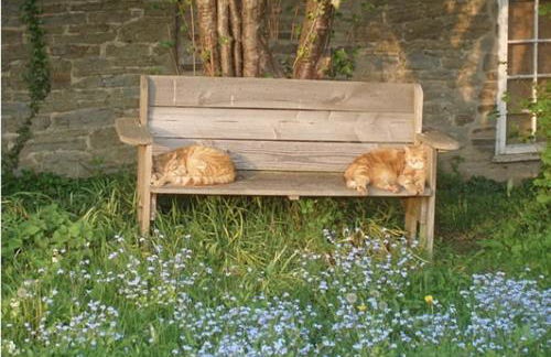 Lower Buckton Country House - Sleeps 12 - Foto 43