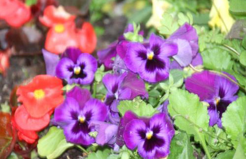 Church Farm - Foto 28