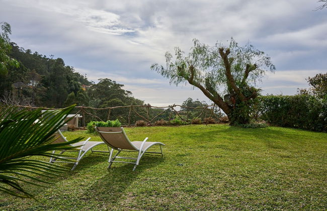 Casas Maravilha - Rvore by Homie - Foto 68