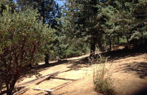 Time Traveler Retreat - Foto 35