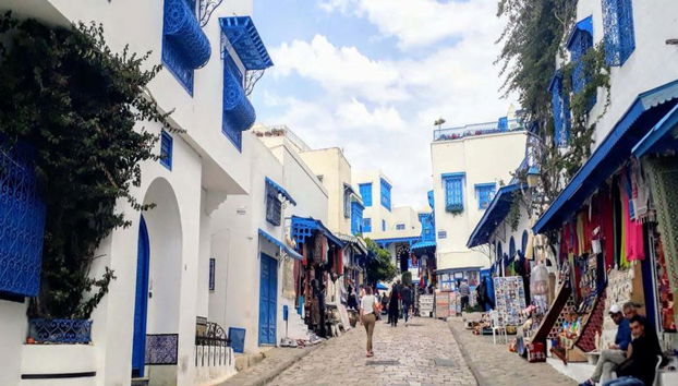 Intera giornata a Cartagine, Sidi Bou Said e la Medina di Tunisi da Hammamet - Foto 3