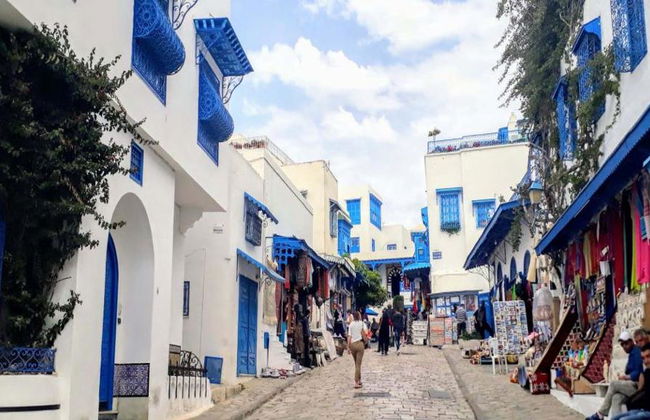 Intera giornata a Cartagine, Sidi Bou Said e la Medina di Tunisi da Hammamet - Foto 3