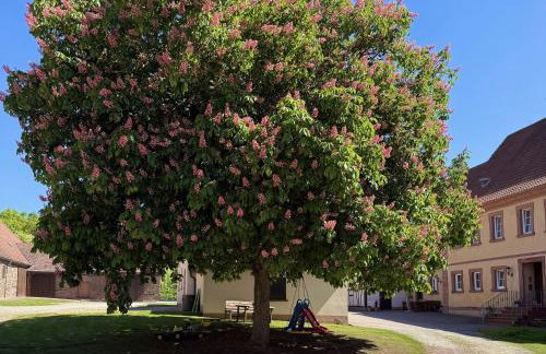 Ferienwohnungen - Gutshof Dürrhof - Foto 50