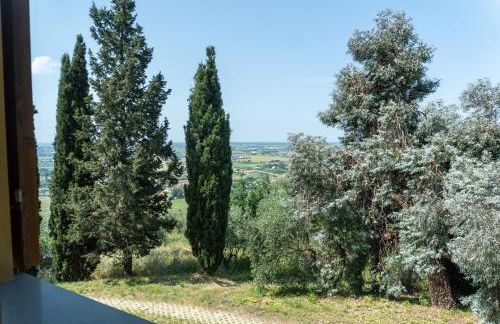 Agriturismo La Grotta - Foto 19