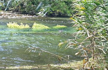 Casa Alessandro - Foto 56