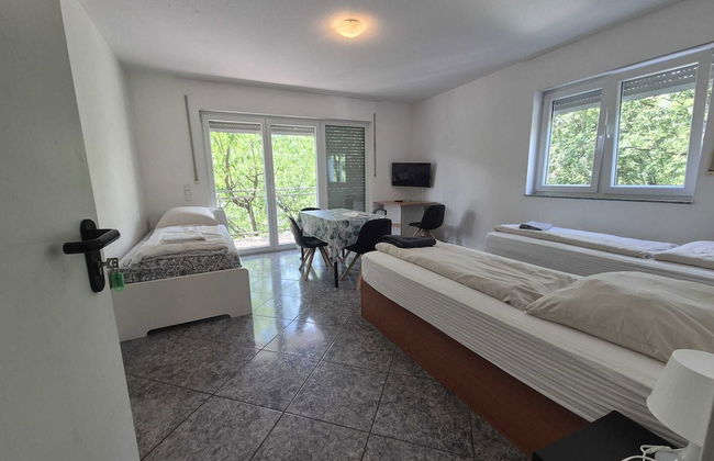 Pension Seckbach - Foto 37