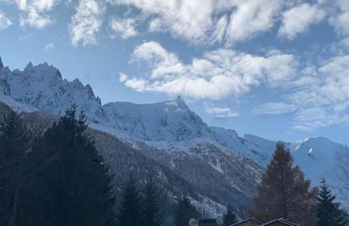 Belle Vue Des Praz - Foto 17