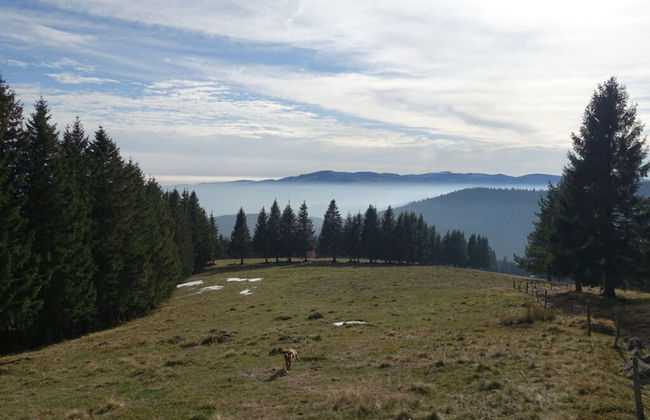 Modern Apartment in Soultzeren - Photo 10