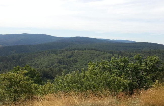 Ideal Holiday Home in Wutha-Farnroda near City Center - Foto 31