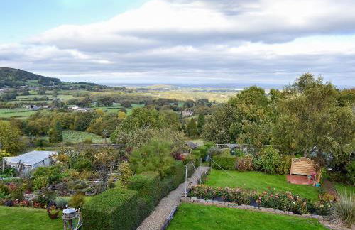 Zonnebloem - Foto 29