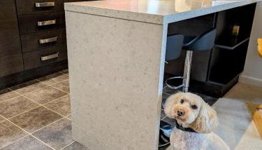 Scarside - Foto 5, pet friendly