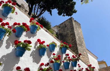 Mare Apartments Marbella - Photo 21