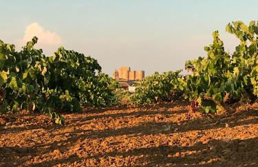 La Hermandad de Villalba - Foto 33