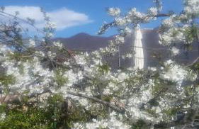 Bellavita Fossati - Foto 41