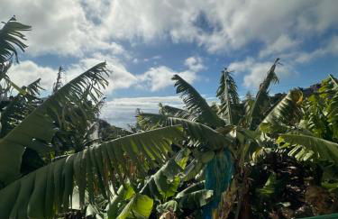 Elisabeth House - Foto 34