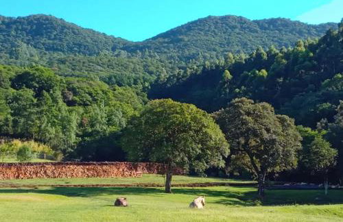 Quinta da Boa Vista São Chico - Foto 61