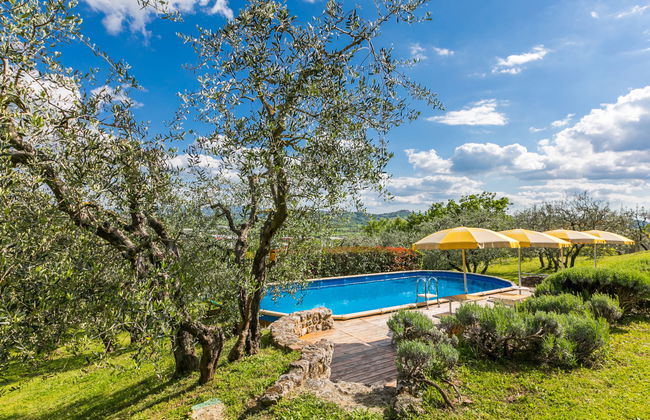 Poggio all'Aia - Foto 77