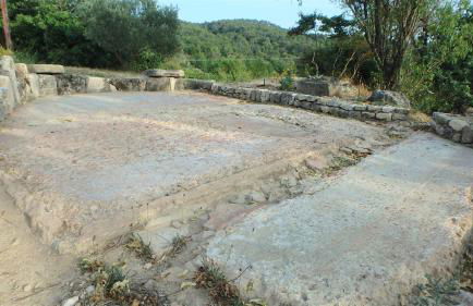 Domaine Saint-Jaume gîte Cinsault - Foto 10