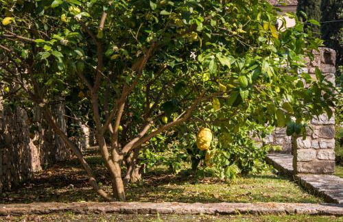 Residence Fondo La Campagnola - Foto 38