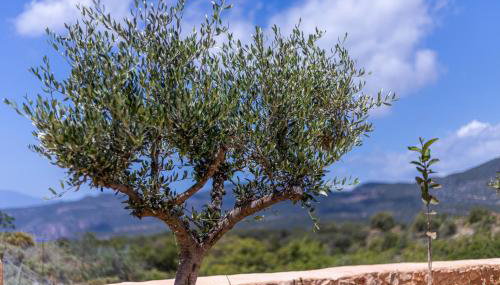 Lakkos Villas - Foto 4