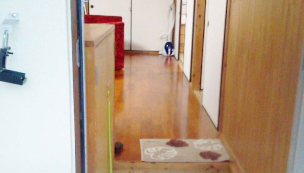 azami7 - Foto 4, Habitación