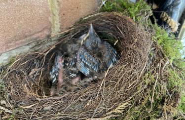 Ferien im Bomlitztal - Foto 56